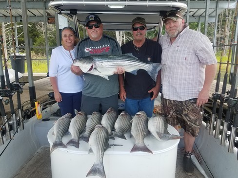 Nice Striped Bass