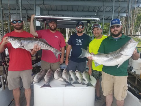 Nice Striped Bass