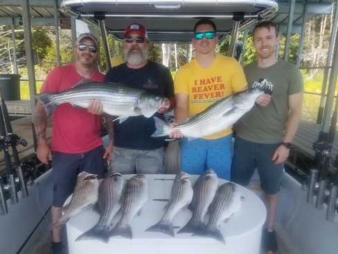 Nice Striped Bass