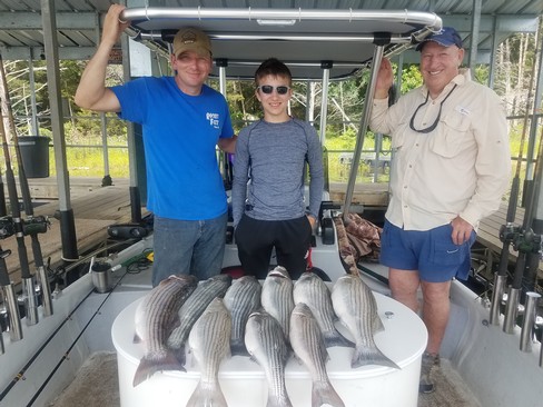 Nice Striped Bass