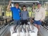 (05/26/2019) - Nice Striped Bass
