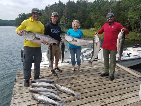 Nice Striped Bass