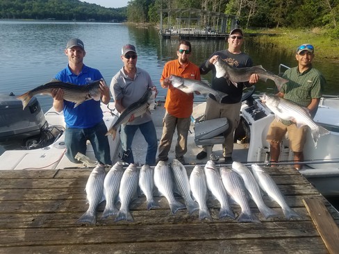 Nice Striped Bass