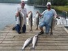 (05/29/2019) - Nice Striped Bass