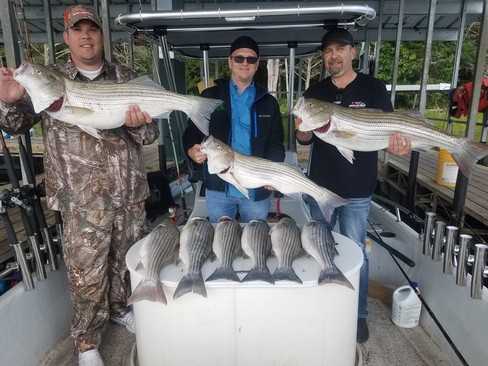 Nice Striped Bass