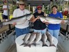 (05/31/2019) - Nice Striped Bass