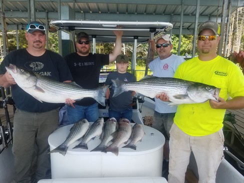 Nice Striped Bass