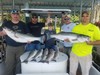 (06/01/2019) - Nice Striped Bass