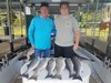 (06/02/2019) - Nice Striped Bass