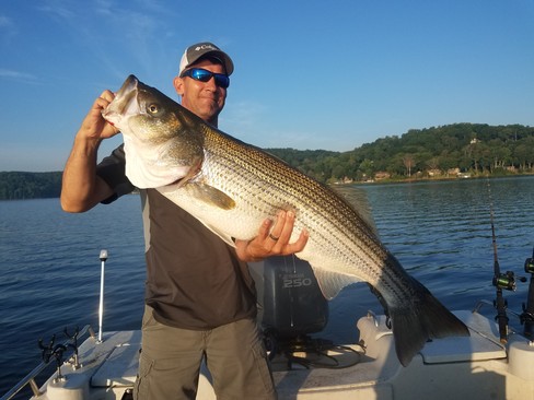 Nice Striped Bass