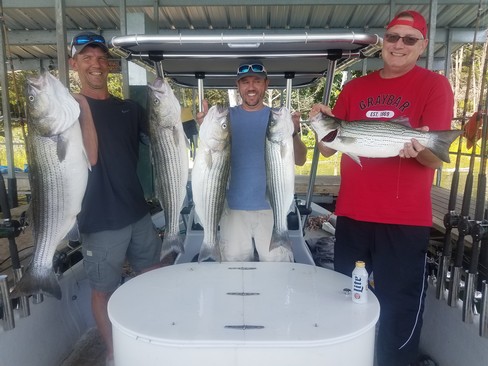 Nice Striped Bass