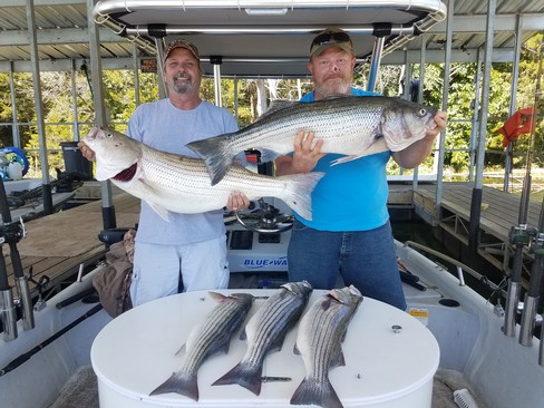 Nice Striped Bass