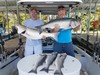 (06/10/2019) - Nice Striped Bass