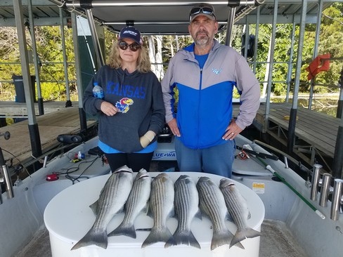 Nice Striped Bass