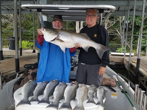 Nice Striped Bass