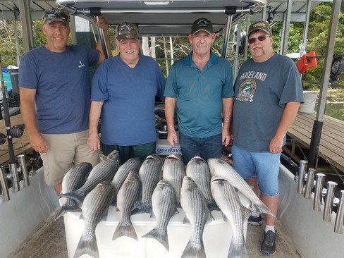 Nice Striped Bass