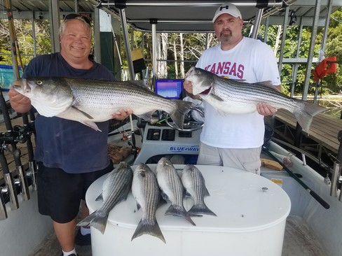 Nice Striped Bass