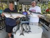 (06/18/2019) - Nice Striped Bass