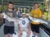 (06/21/2019) - Nice Striped Bass