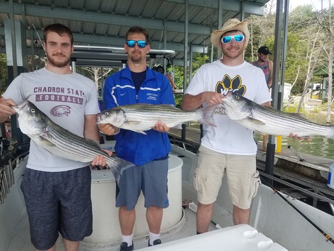 Nice Striped Bass