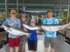 (06/26/2019) - Nice Striped Bass