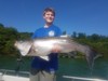 (06/28/2019) - Nice Striped Bass