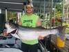 (06/29/2019) - Nice Striped Bass