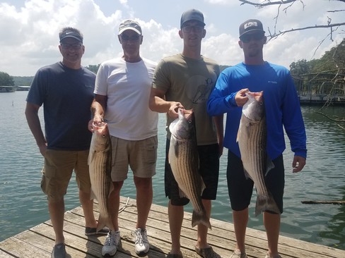 Nice Striped Bass