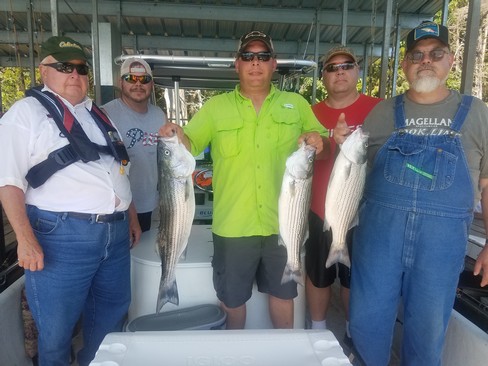 Nice Striped Bass