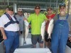 (06/30/2019) - Nice Striped Bass