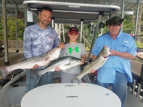 Nice Striped Bass