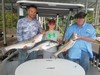 (07/02/2019) - Nice Striped Bass