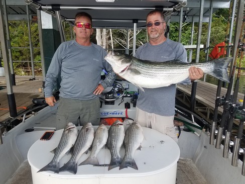 Nice Striped Bass