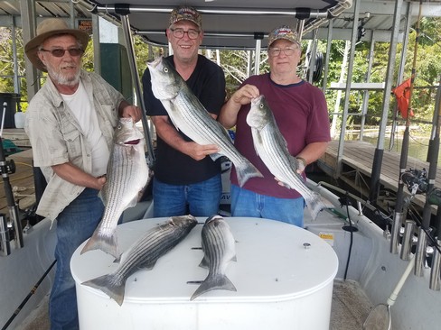 Nice Striped Bass