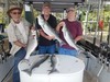 (07/07/2019) - Nice Striped Bass