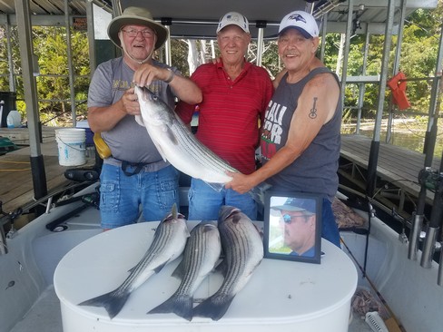 Nice Striped Bass