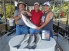 (07/08/2019) - Nice Striped Bass