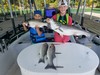 (07/11/2019) - Nice Striped Bass