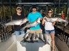 (07/12/2019) - Nice Striped Bass