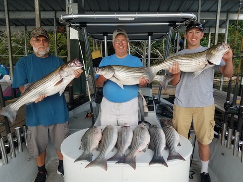 Nice Striped Bass