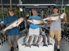 (07/13/2019) - Nice Striped Bass
