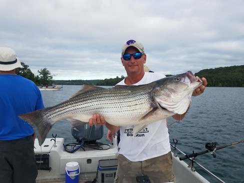 Nice Striped Bass