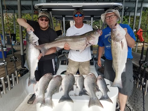 Nice Striped Bass