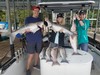 (07/15/2019) - Nice Striped Bass