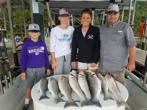 Nice Striped Bass