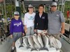 (07/16/2019) - Nice Striped Bass
