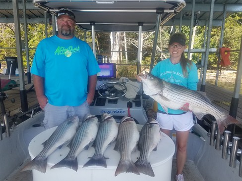Nice Striped Bass