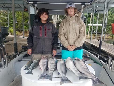 Nice Striped Bass