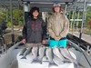 (07/22/2019) - Nice Striped Bass