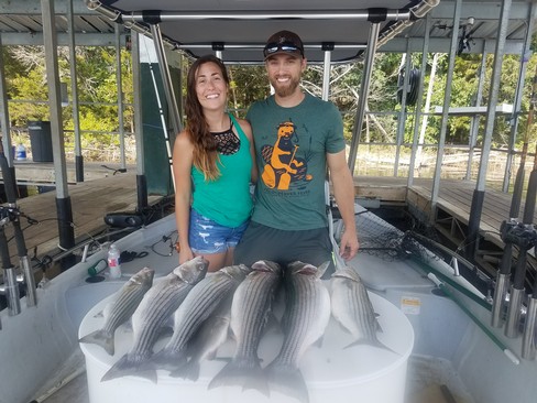 Nice Striped Bass